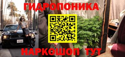 дживик Ирбит