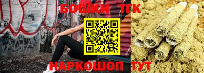 a pvp Камышлов
